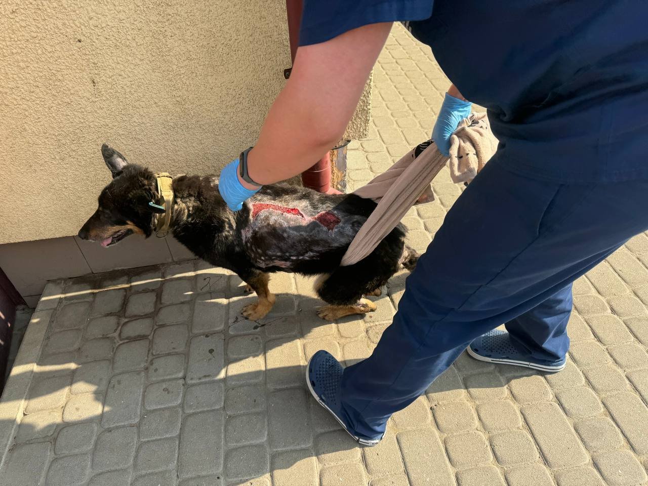 1069f300-20d3-4554-85a8-9578e717101f