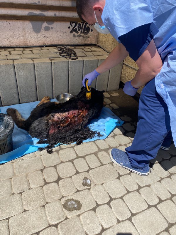 122385c5-0614-4e14-a293-717aec5cb5ef