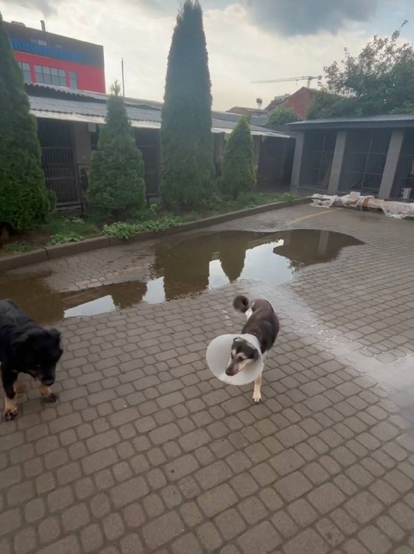 4039d2fc-ad18-4f5e-9216-f59980d009b2