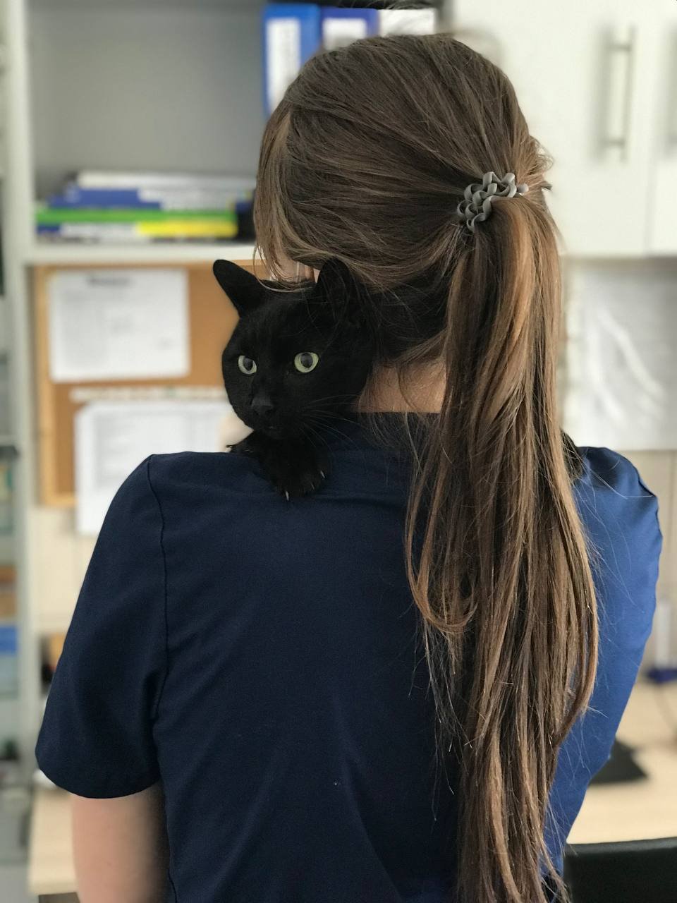 cdfb7927-b88a-4453-8d5c-893444199f70