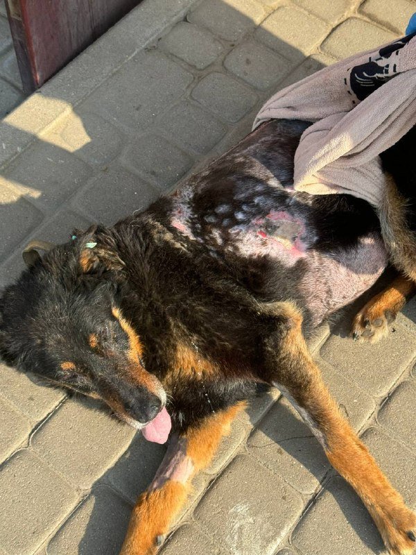 5b270961-a6ed-44aa-b113-738e575d44e6