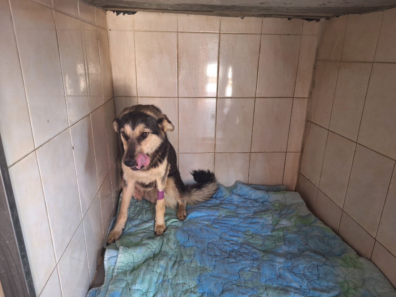 77de871e-95fe-483b-9a10-105136dfb83d