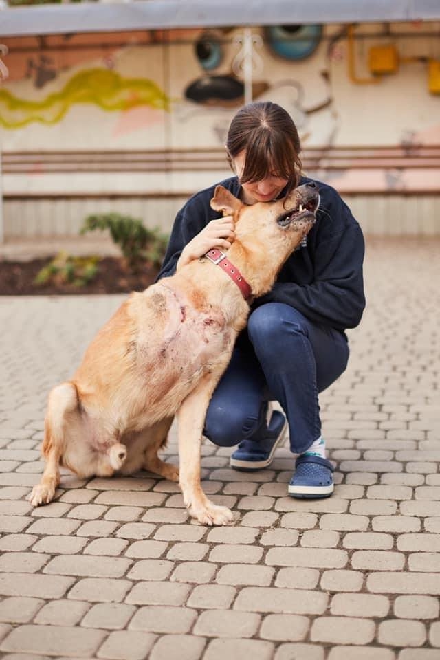 8bd9c9b1-66a2-475c-980c-52004a5ee935