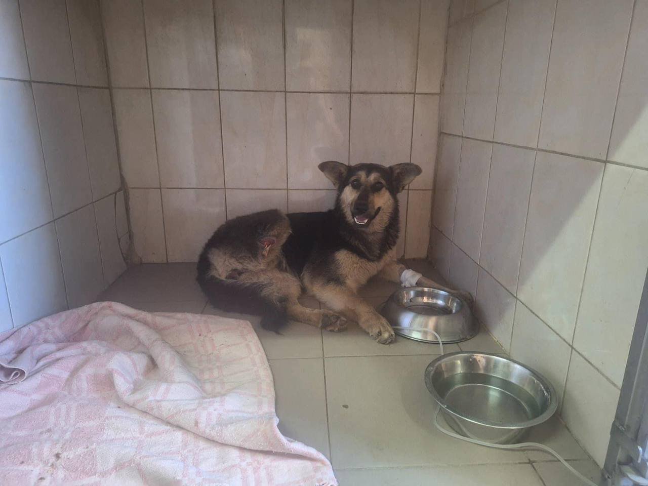 9d5af80f-b7bb-48a9-8a91-e7b468216446