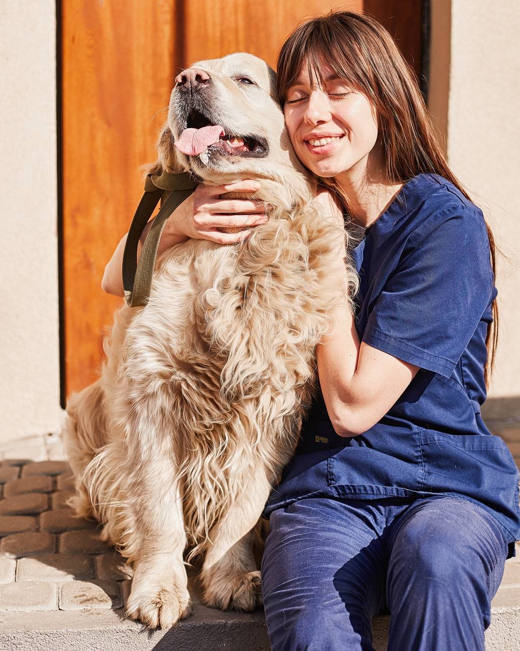 9ed45312-f9c2-4ee3-bfe6-fff84de46adf