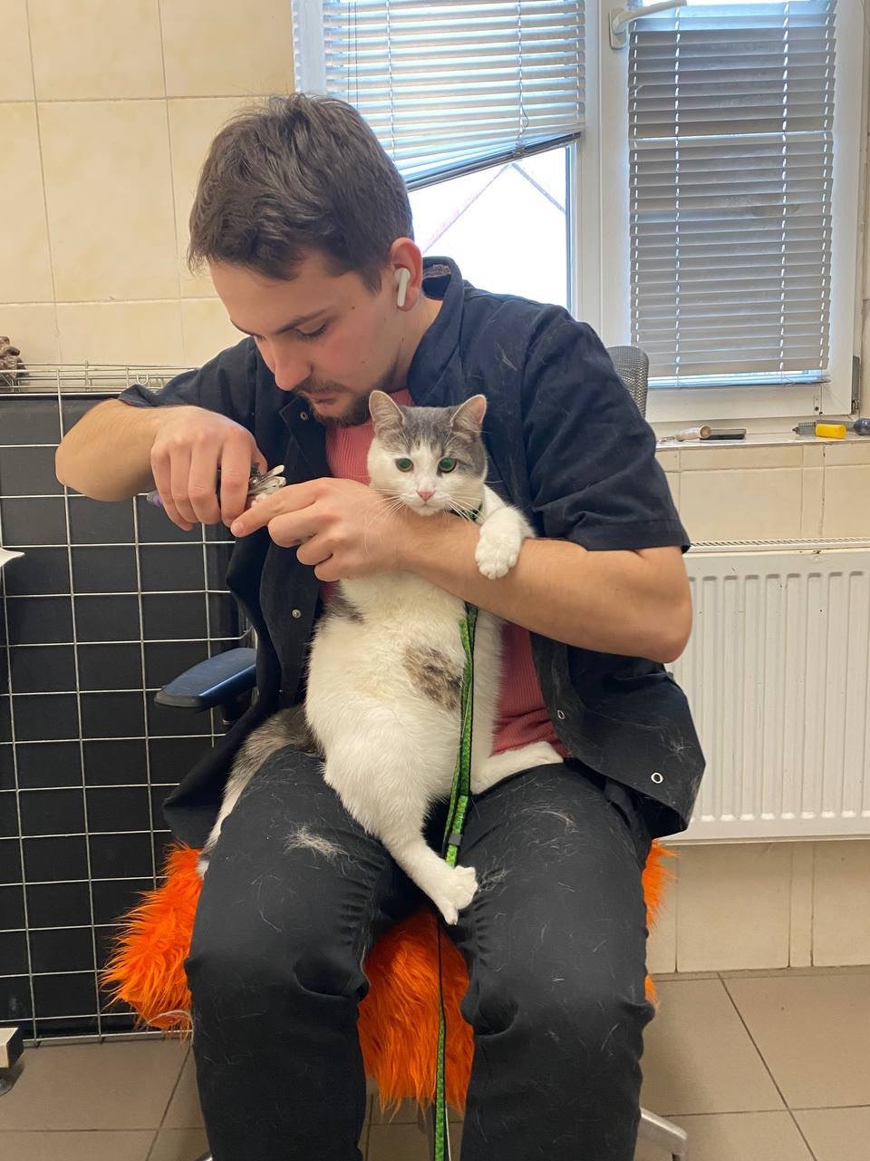 b31d7296-35d6-469a-a223-df5e70f41d05