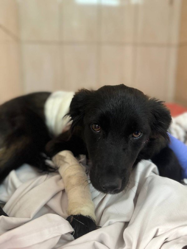 b5041f8c-1d7d-4a8d-a7e5-d267502fe2fb