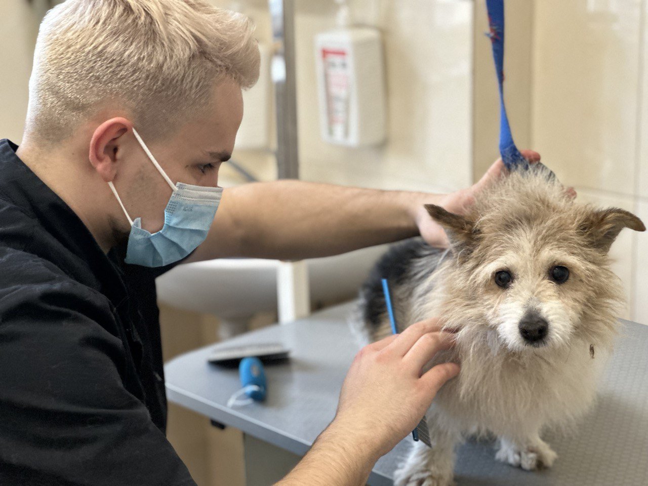 cdfb7927-b88a-4453-8d5c-893444199f70