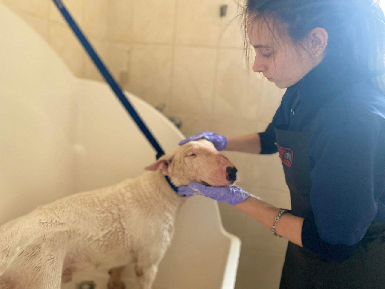 d77436f0-b816-4565-a436-208cef2c3c6c