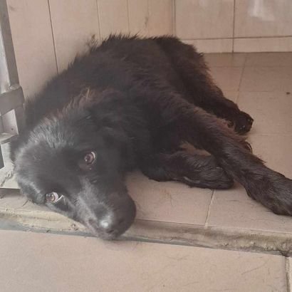 ffd2e71f-f78d-4e32-ae19-92aa72638cb4