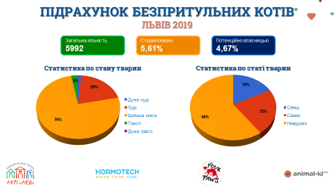 prezentacia-koti-klucovij-slajd